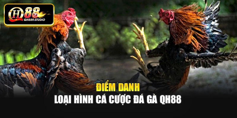 Điểm danh loại hình cá cược đá gà Qh88